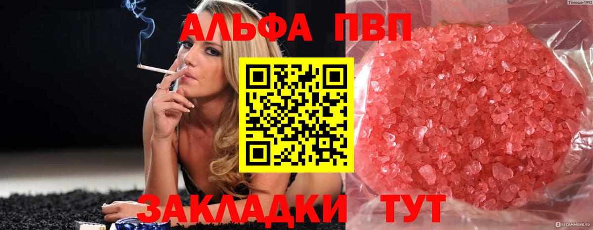 А ПВП СК Череповец