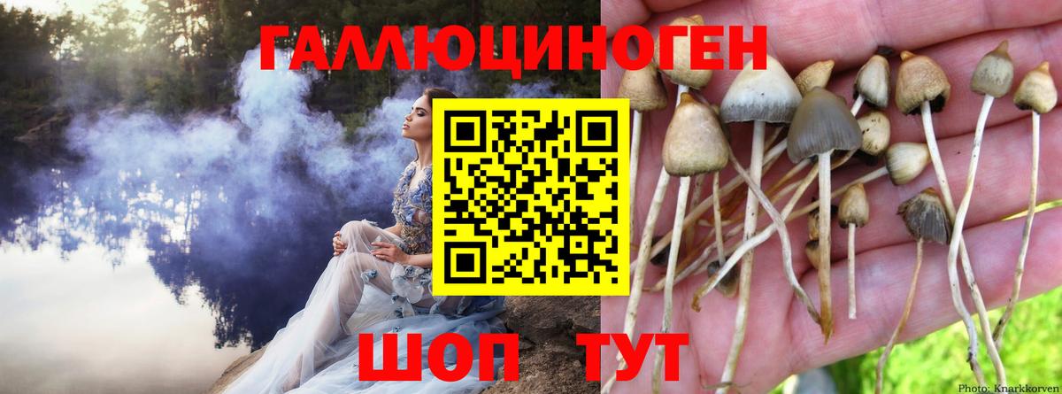 Череповец  Псилоцибиновые грибы Magic Shrooms  Вход с VPN 