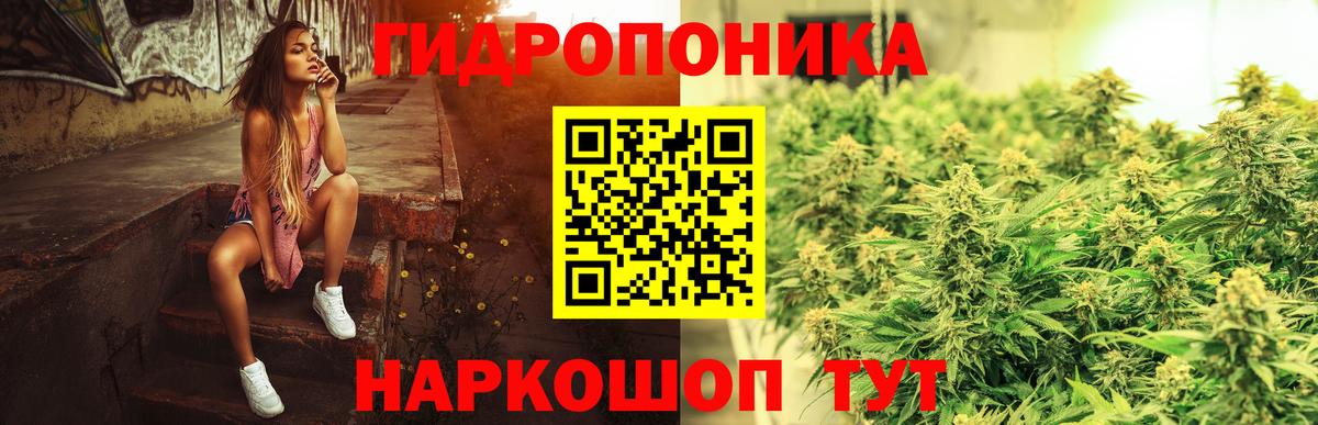 Бошки марихуана индика  Канабис MAZAR  Конопля конопля  Вход с VPN  Череповец 